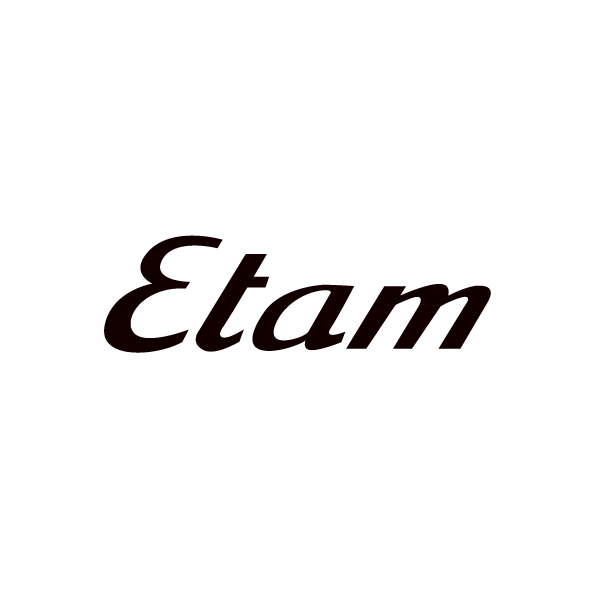 LES LOGOTYPES-10